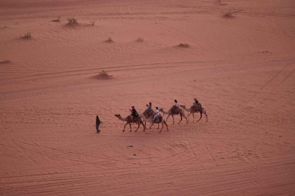 Wadi Rum-Bedouin Tents And Jeep Tours מראה חיצוני תמונה